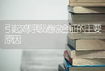 引起鸡呼吸道综合征的主要原因