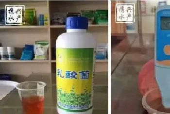 水产养殖户如何辨别优质乳酸菌和光合菌