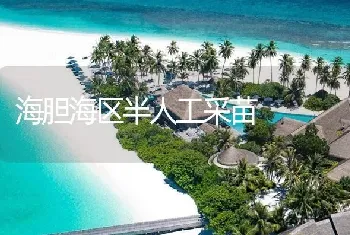 海胆海区半人工采苗