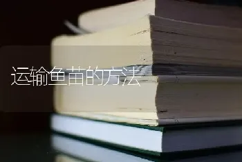 运输鱼苗的方法