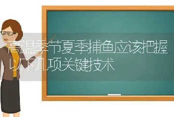 高温季节夏季捕鱼应该把握以下几项关键技术