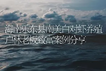 海南乐东县南美白对虾养殖户林老板致富案例分享