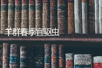 羊群春季宜驱虫