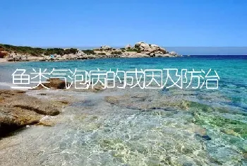 鱼类气泡病的成因及防治