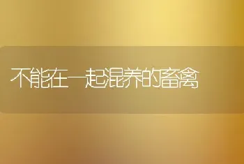 不能在一起混养的畜禽