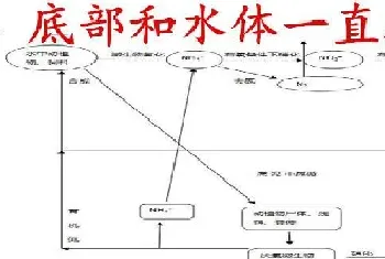 养殖水体常见有那些生物化学反应之沉淀反应和水质的关系