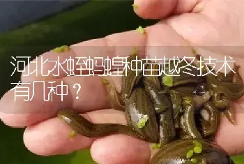 河北水蛭蚂蝗种苗越冬技术有几种?