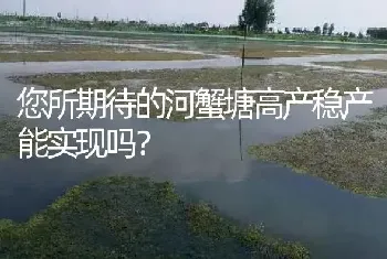 您所期待的河蟹塘高产稳产能实现吗?