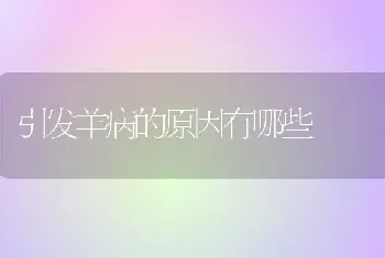 引发羊病的原因有哪些