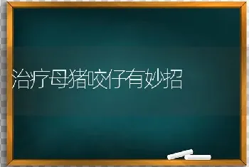 治疗母猪咬仔有妙招