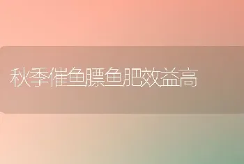 秋季催鱼膘鱼肥效益高