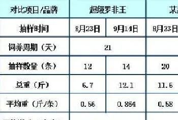 使用超级罗非王21天罗非鱼增重三两多