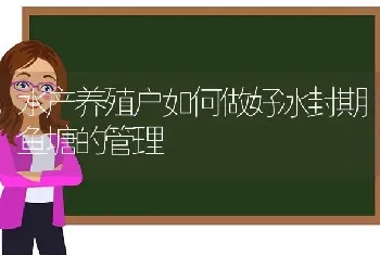 水产养殖户如何做好冰封期鱼塘的管理