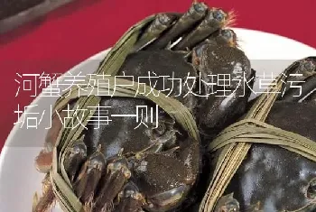 河蟹养殖户成功处理水草污垢小故事一则