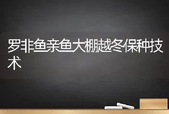 罗非鱼亲鱼大棚越冬保种技术