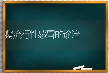 鹅流行性感冒的诊治