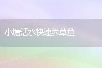 小塘活水快速养草鱼