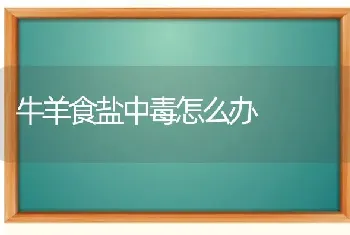 牛羊食盐中毒怎么办