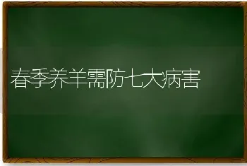 春季养羊需防七大病害