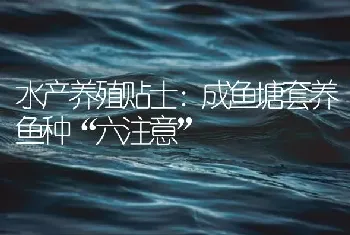 水产养殖贴士：成鱼塘套养鱼种“六注意”