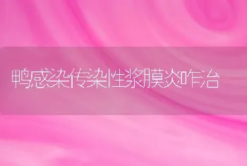 鸭感染传染性浆膜炎咋治