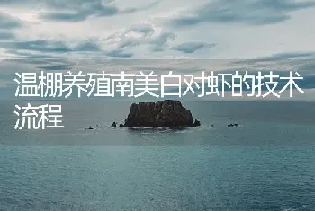 温棚养殖南美白对虾的技术流程