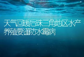 天气回暖后珠三角地区水产养殖要谨防水霉病