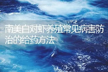 南美白对虾养殖常见病害防治的给药方法