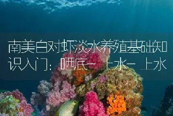 南美白对虾淡水养殖基础知识入门：晒底-上水-上水