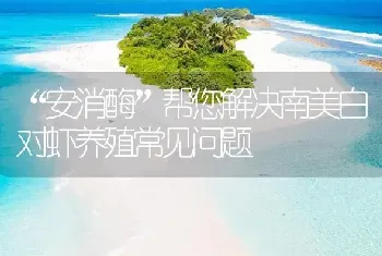 “安消酶”帮您解决南美白对虾养殖常见问题