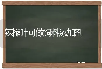 辣椒叶可做饲料添加剂