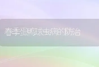 春季蛋鸭球虫病的防治