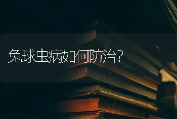 兔球虫病如何防治?