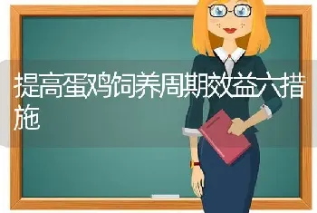 提高蛋鸡饲养周期效益六措施