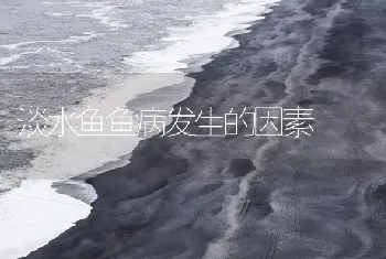 淡水鱼鱼病发生的因素