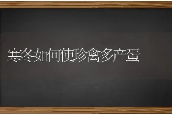 寒冬如何使珍禽多产蛋