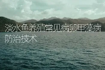 淡水鱼养殖常见病卵甲藻病防治技术