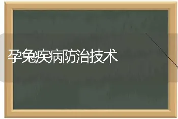 孕兔疾病防治技术