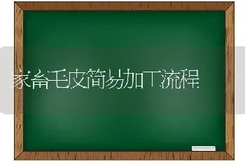 家畜毛皮简易加工流程