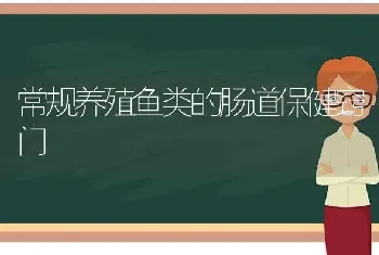 常规养殖鱼类的肠道保健窍门