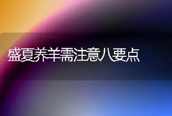 盛夏养羊需注意八要点