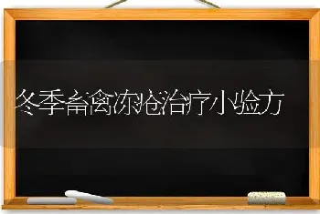 冬季畜禽冻疮治疗小验方