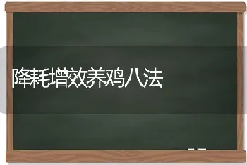 降耗增效养鸡八法