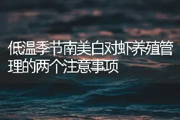 低温季节南美白对虾养殖管理的两个注意事项