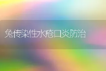 兔传染性水疮口炎防治