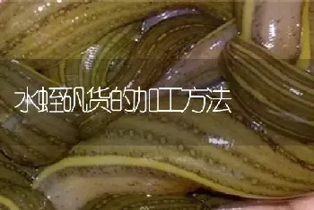 水蛭矾货的加工方法