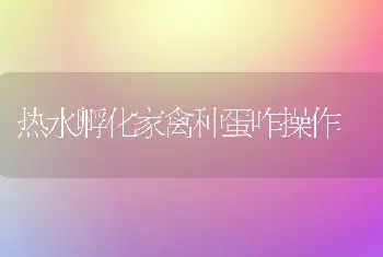 热水孵化家禽种蛋咋操作