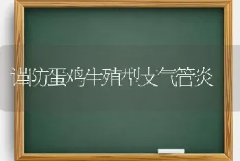 谨防蛋鸡生殖型支气管炎