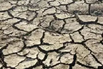 池塘泥皮的种类分析与建议方案