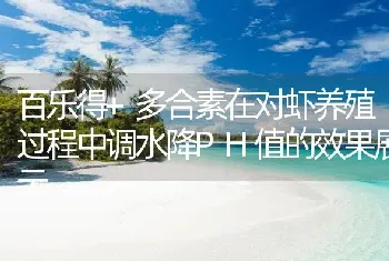 百乐得+多合素在对虾养殖过程中调水降PH值的效果展示